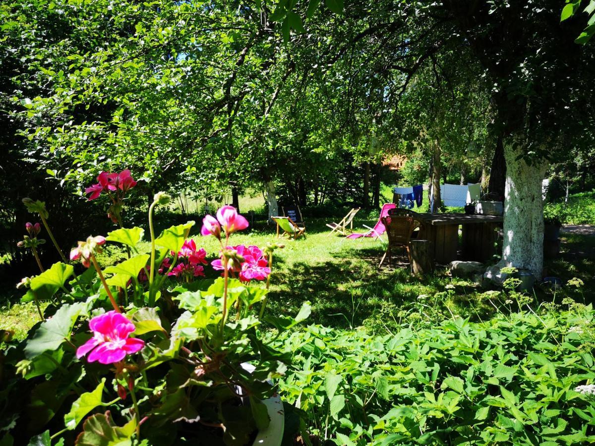 Farm stay Moniowka Nowe Kawkowo