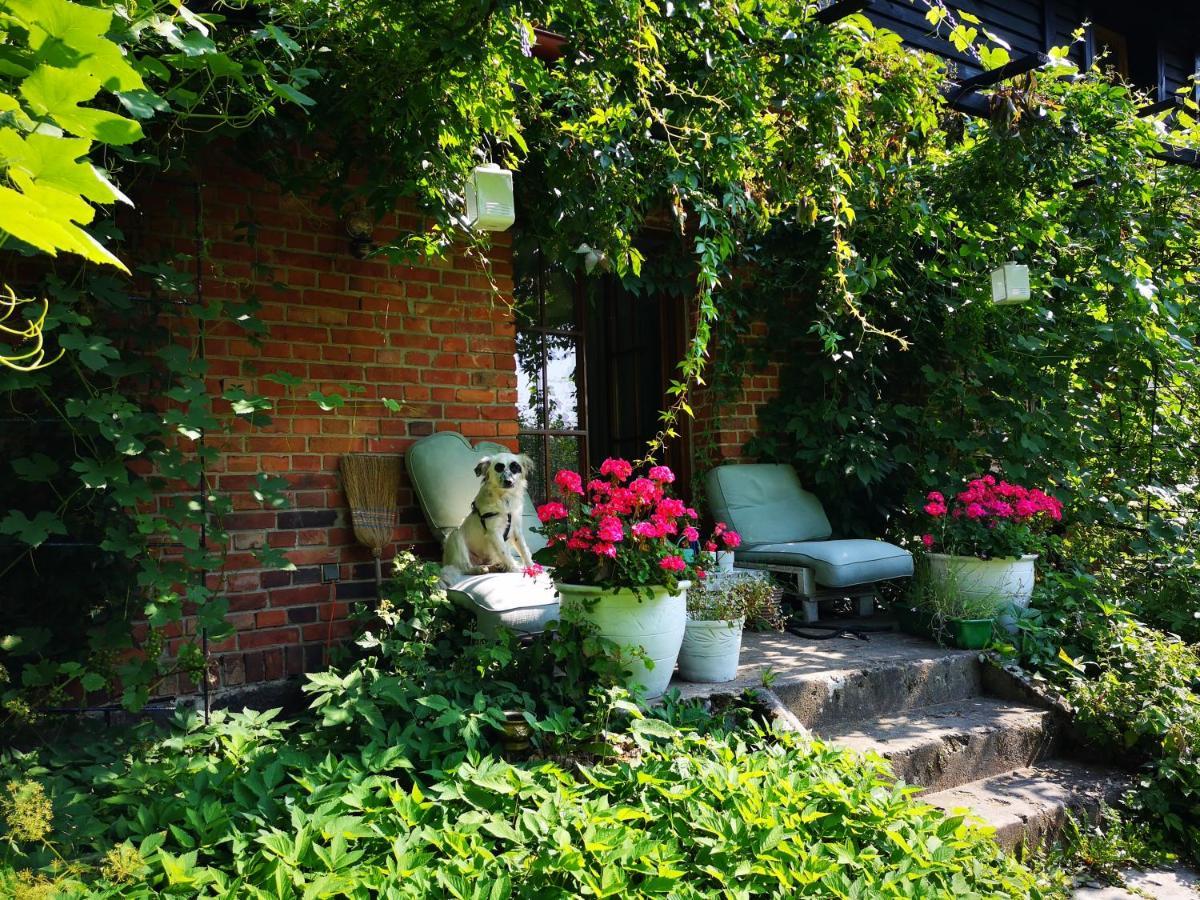 Farm stay Moniowka Nowe Kawkowo